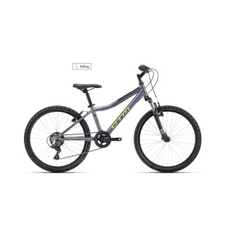 Dviratis Berry 24"