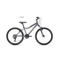 Dviratis Berry 24"