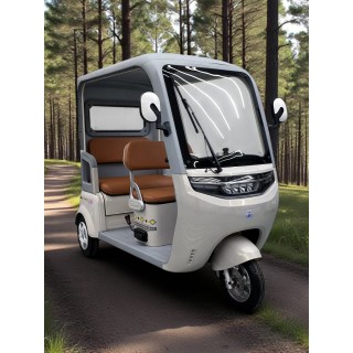 Elektrinis trivietis triratis motoroleris LA-60 (Ekspozicinis)
