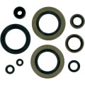 OIL-SEALSKX500 89-04