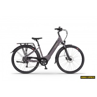 Dviratis 28 ECO X-CITY COFFEE 36V 630 Wh brown eco - l