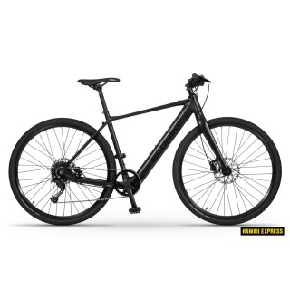 Dviratis 28 ECO URBAN ARROW 36V 349,2 Wh black eco - l