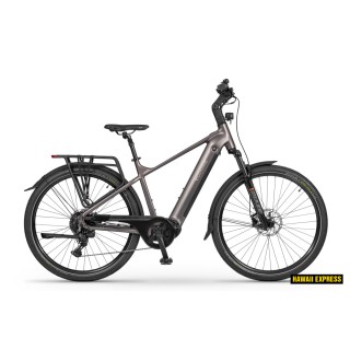 Dviratis 28 ECO MX300 GOLDEN GREY 36V 900 Wh grey eco - l