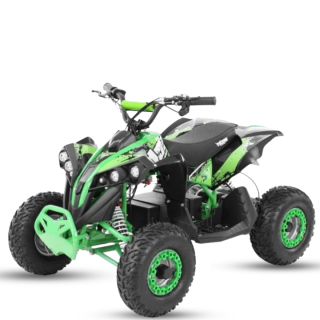 Elektrinis keturratis Mankius H Avenger 1200W,48V(3-8m)