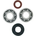 BEARING CRANK MSE KTM