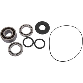 BEARING KIT DIFF FT POL