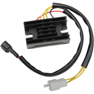 REG/REC MSE RAC DRZ400