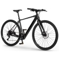 Elektrinis dviratis Ecobike Urban Plus 10 + 7 Ah 601Wh
