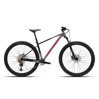 Dviratis 29" POLYGON XTRADA 6 pilka/juoda - s