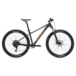 GIANT Talon 2 29" // 9G, dydis 15" (38 cm) (tamsiai žalia - Asphalt Green)