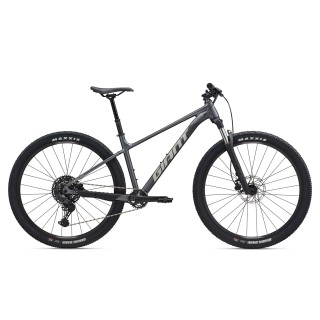 GIANT Talon 1 29" // 10G, dydis 16.5" (42 cm) (pilka - Charcoal)