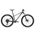 GIANT Talon 1 29" // 10G, dydis 16.5" (42 cm) (pilka - Charcoal)