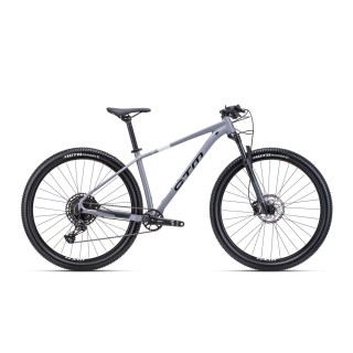 Dviratis Rascal 1.0 29"
