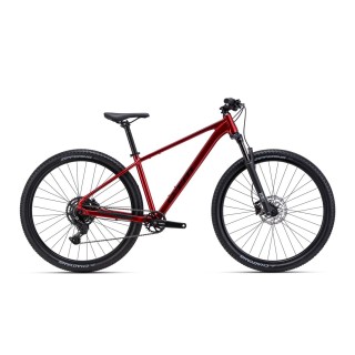 Dviratis Rambler 2.0 29"