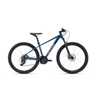 Dviratis Rein 1.0 29"