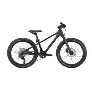 Dviratis 20" Tokee Ultra Lite Rainbow karboninis