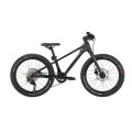 Dviratis 20" Tokee Ultra Lite Rainbow karboninis