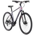 Dviratis Tabou Flow 1 19 black-chameleon-M / 19"
