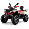Benzininis keturratis TITAN 250 T3B registruojamas