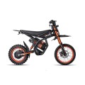 GT54 elektrinis dviratis off road dirt bike 1000W