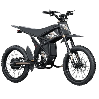 GT73 PRO elektrinis dviratis off road dirt bike 1500W