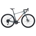 GIANT Revolt 2 28" // 18G, dydis 19" (49 cm) (pilka)