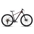 Dviratis 29" POLYGON SYNCLINE C3 Rudas/Pilkas - m