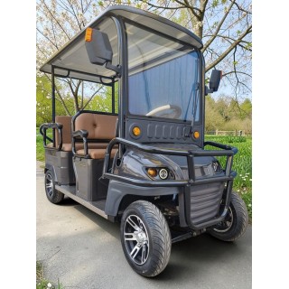Elektrinis šešiavietis keturratis motoroleris su stogu FL-06G