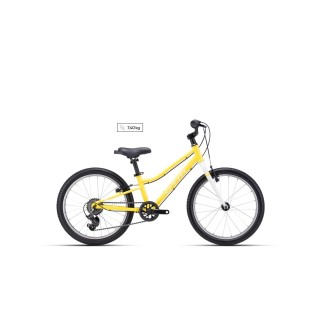 Dviratis SLY 20"