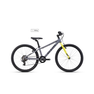 Dviratis Benny 24"