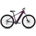 Elektrinis dviratis Tabou Blade UP ECO 29 black-purple-20"