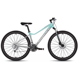 Dviratis Tabou Blade 29 2 W grey-mint-L