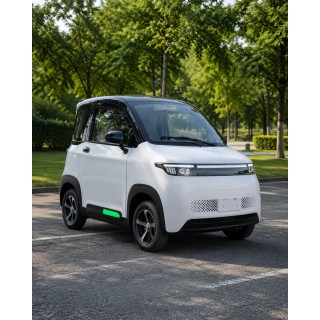 Elektrinis mini automobilis M5 4KW