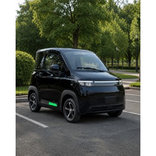 Elektrinis mini automobilis M5 4KW