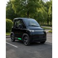 Elektrinis mini automobilis M5 4KW