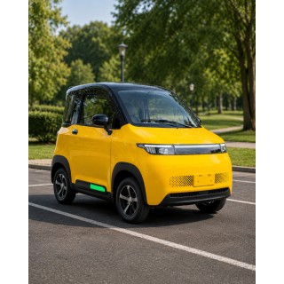 Elektrinis mini automobilis M5 4KW