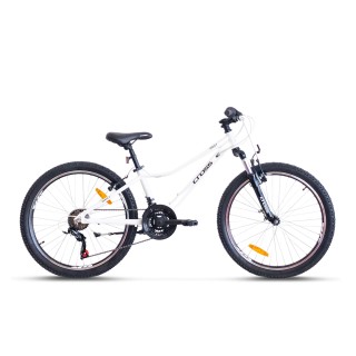 CROSS Daisy 2026 24'' // 18G, dydis 12,5" (31 cm) (balta)