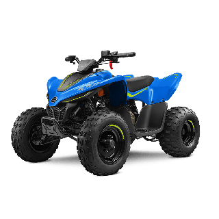 Vaikiškas keturratis CFMOTO CFORCE 110