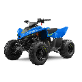 Vaikiškas keturratis CFMOTO CFORCE 110