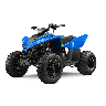 Vaikiškas keturratis CFMOTO CFORCE 110