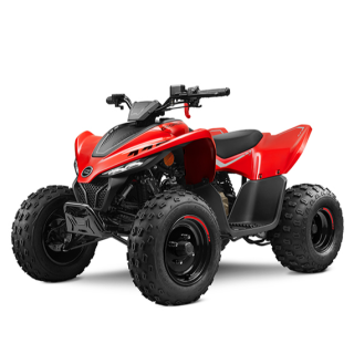 Vaikiškas keturratis CFMOTO CFORCE 110