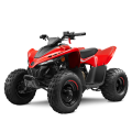 Vaikiškas keturratis CFMOTO CFORCE 110