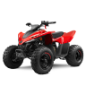 Vaikiškas keturratis CFMOTO CFORCE 110