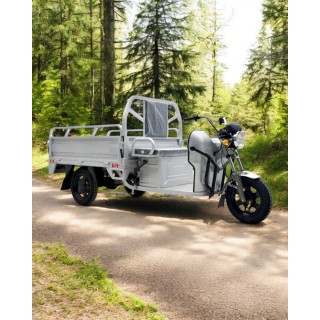 Elektrinis krovininis triratis motoroleris SL-06 (EKSPOZICINIS)
