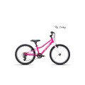 Dviratis SLY 20"