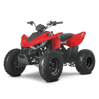 LINHAI ATV 110 vaikiškas keturratis