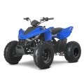 LINHAI ATV 110 vaikiškas keturratis