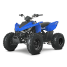 LINHAI ATV 110 vaikiškas keturratis