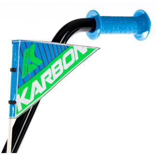 Dviratis Karbon Niki 14 green-blue