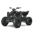LINHAI ATV 110 vaikiškas keturratis